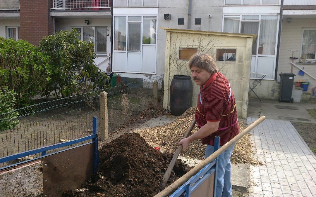 De leentuinen in Willebroek: ecologisch en solidair tuinieren